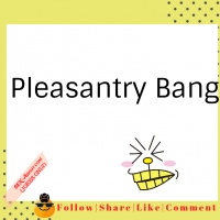 Pleasantry - Bang